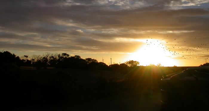 Sunset, Edithburgh, South Australia