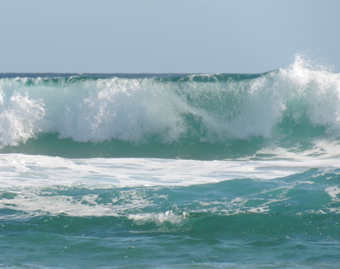 waitpinga wave