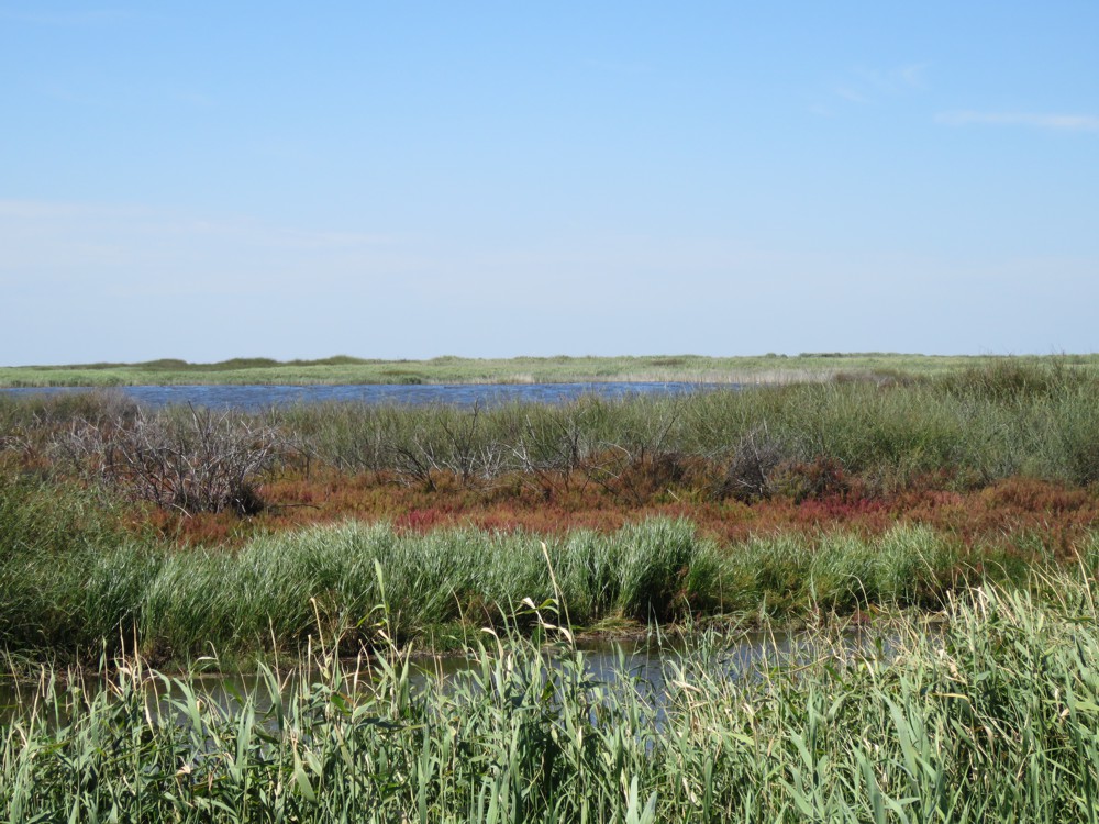 Tolderol Game Reserve